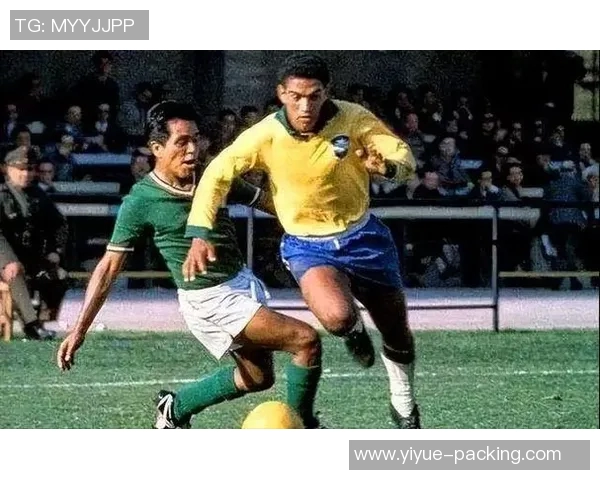 巴西足球明星小个子如何在绿茵场上展现非凡才华与魅力