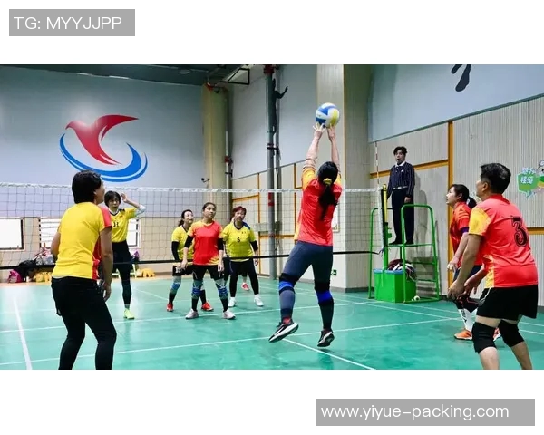 成都排球队实力分析与表现评估探讨