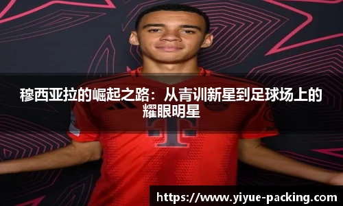 穆西亚拉的崛起之路：从青训新星到足球场上的耀眼明星