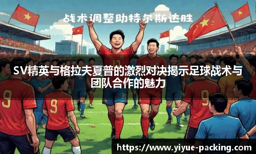 mk体育